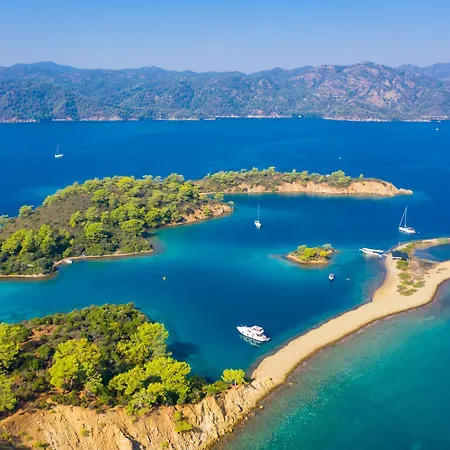 Garden Island Vilă *